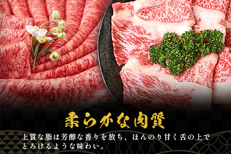 【A5ランク】 椎葉牛 すき焼き 2種 食べ比べ 肩ロース420g・牛もも420g 計840g すき焼き しゃぶしゃぶ | ふるさと納税 すき焼き しゃぶしゃぶ 肉 牛肉 高級肉 黒毛和牛 国産 モモ 肩ロース 宮崎県 椎葉村 人気 送料無料 | TK-111