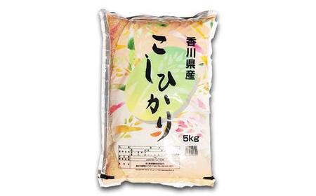 令和7年度産 新米 香川県琴平産コシヒカリ 5kg 《入金後2週間以内に発送》 銘柄米 ブランド米 国産 こしひかり コシヒカリ 米 精米 お米 ライス ギフト 贈り物 四国 F5J-1251
