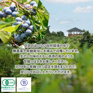 【令和8年産先行予約】【冷凍】月山高原のオーガニックブルーベリー(大粒・600g)　K-845