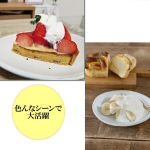 信楽焼 陶器製 陶シリーズ 食器（小鉢/取り皿）3点セット（ホワイト）