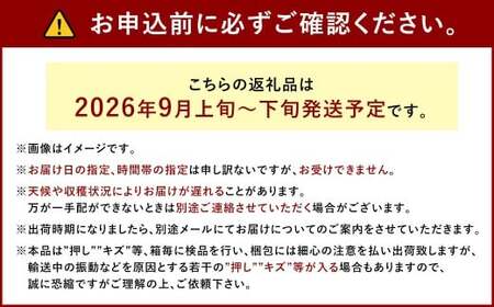 ぶどう 2026年 先行予約 シャイン マスカット 3～4房 合計2kg以上 ブドウ 葡萄  岡山県産 国産 フルーツ 果物 ギフト 河本農園 【2026年9月上旬～9月下旬発送予定】