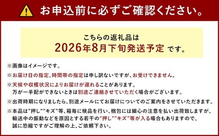 ぶどう 2026年 先行予約 ニュー ピオーネ 2房 合計1.2kg以上 ブドウ 葡萄  岡山県産 国産 フルーツ 果物 ギフト 河本農園 【2026年8月下旬発送予定】