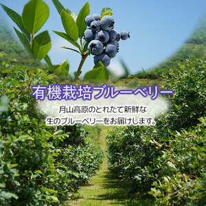 【令和8年産先行予約】月山高原のオーガニックブルーベリー(大粒1kg)　K-864