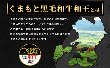 【定期便3回】くまもと 黒毛和牛 (和王) 年末年始 に嬉しい バラエティ 定期便A【12月/1月/2月 配送】 ブランド牛 定期便 肉 ロース モモ すき焼き しゃぶしゃぶ 焼肉 ステーキ 牛肉 お肉 定期便 年末 年始 年内 発送 プレミアム品質 122-0605