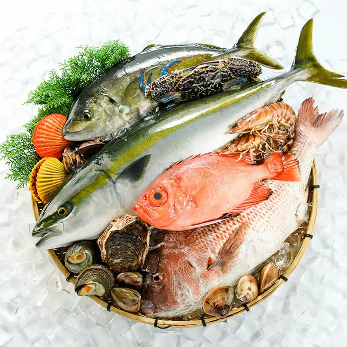 ＜定期便＞ 魚介類定期便 (全12回 ・連続) 魚 魚介 海鮮 いか イカ たこ タコ 貝 海老 えび エビ 冷蔵 【opba001】【海べ】