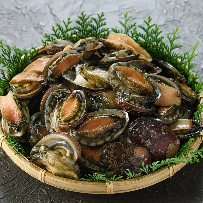 とこぶしのやわらか煮 (計200g) 魚介 貝 とこぶし トコブシ おつまみ 惣菜 常温【opba009】【海べ】
