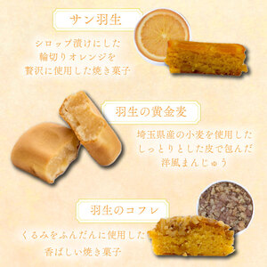 焼き菓子 詰め合わせ カサブランカ 3種 計17個 （ 羽生の黄金麦 羽生のコフレ サン羽生） 焼菓子 お菓子 洋菓子 おやつ スイーツ こだわり 手土産 差し入れ 帰省 贈り物 母の日 父の日 敬老の日 お中元 お歳暮 ギフト プレゼント 人気 ウィンズ・アーク 埼玉県 羽生市