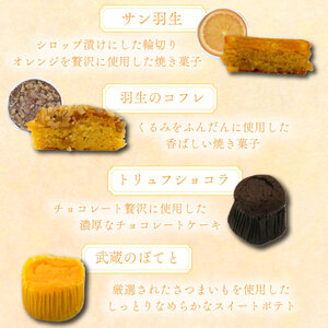 焼き菓子 詰め合わせ ガーベラ 4種 計12個 （ 羽生のコフレ サン羽生 武蔵のぽてと トリュフショコラ） 焼菓子 お菓子 洋菓子 おやつ スイーツ こだわり 手土産 差し入れ 帰省 贈り物 母の日 父の日 敬老の日 お中元 お歳暮 ギフト プレゼント 人気 ウィンズ・アーク 埼玉県 羽生市