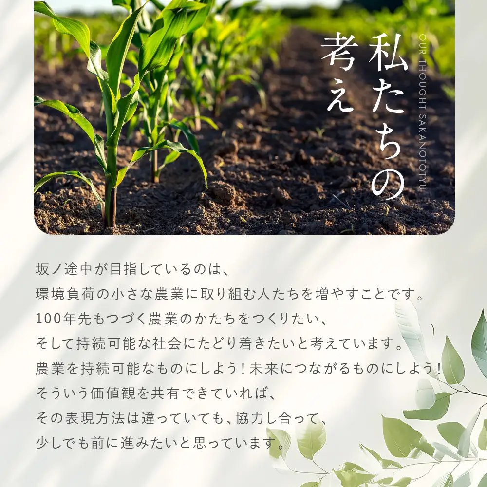 【坂ノ途中 海ノ向こうコーヒー】ドリップバッグコーヒー 4種詰合せギフトセット〈20個入〉