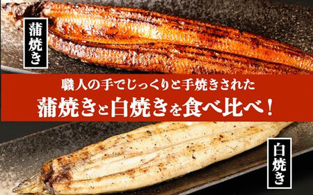 【定期便全6回】 鹿児島県 大隅産 千歳鰻 白焼き 5尾 ・ 蒲焼 5尾 （1尾110g～130g）| 白焼き