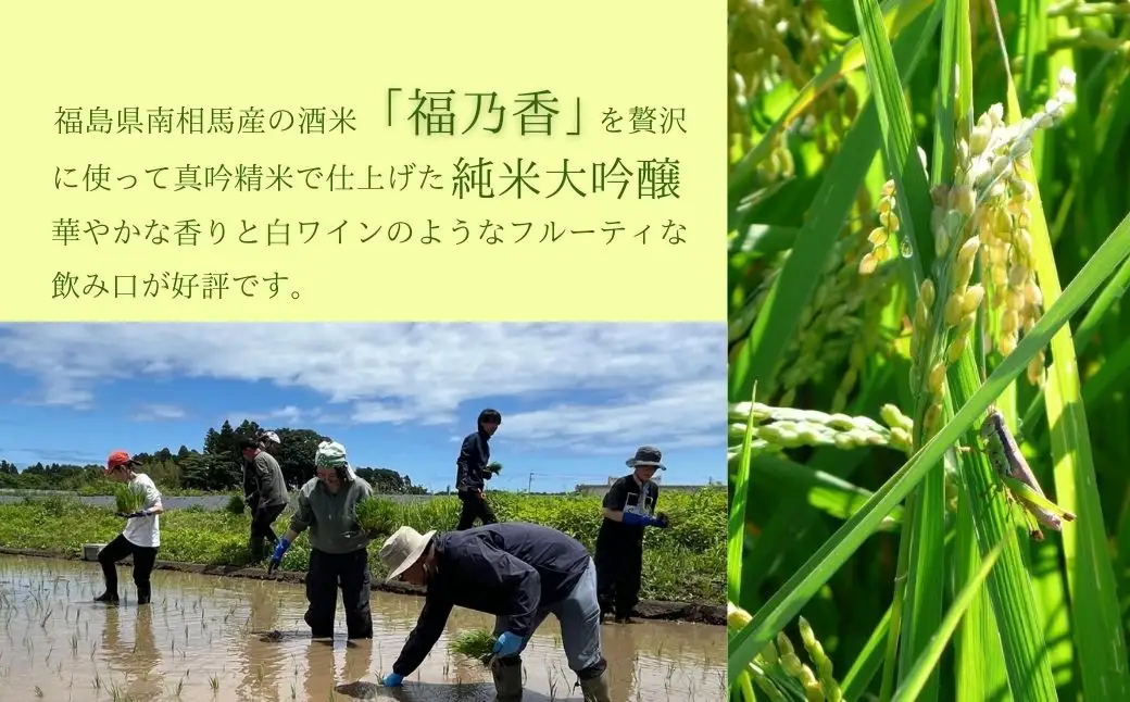 お米と日本酒セット 令和7年産つきあかり5kg・日本酒soma純米大吟醸 720ml アグリロード