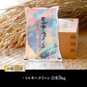 令和7年産 米 白米 5kg ミルキークイーン 精米 近江米 みるきーくいーん 国産 お米 米 おこめ ごはん ご飯 白飯 しろめし こめ ゴハン 御飯 滋賀県産 竜王 ふるさと ランキング 人気 おすすめ