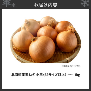 玉ねぎ 北海道産 小玉 1kg SSサイズ以上