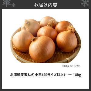 玉ねぎ 北海道産 小玉 10kg SSサイズ以上