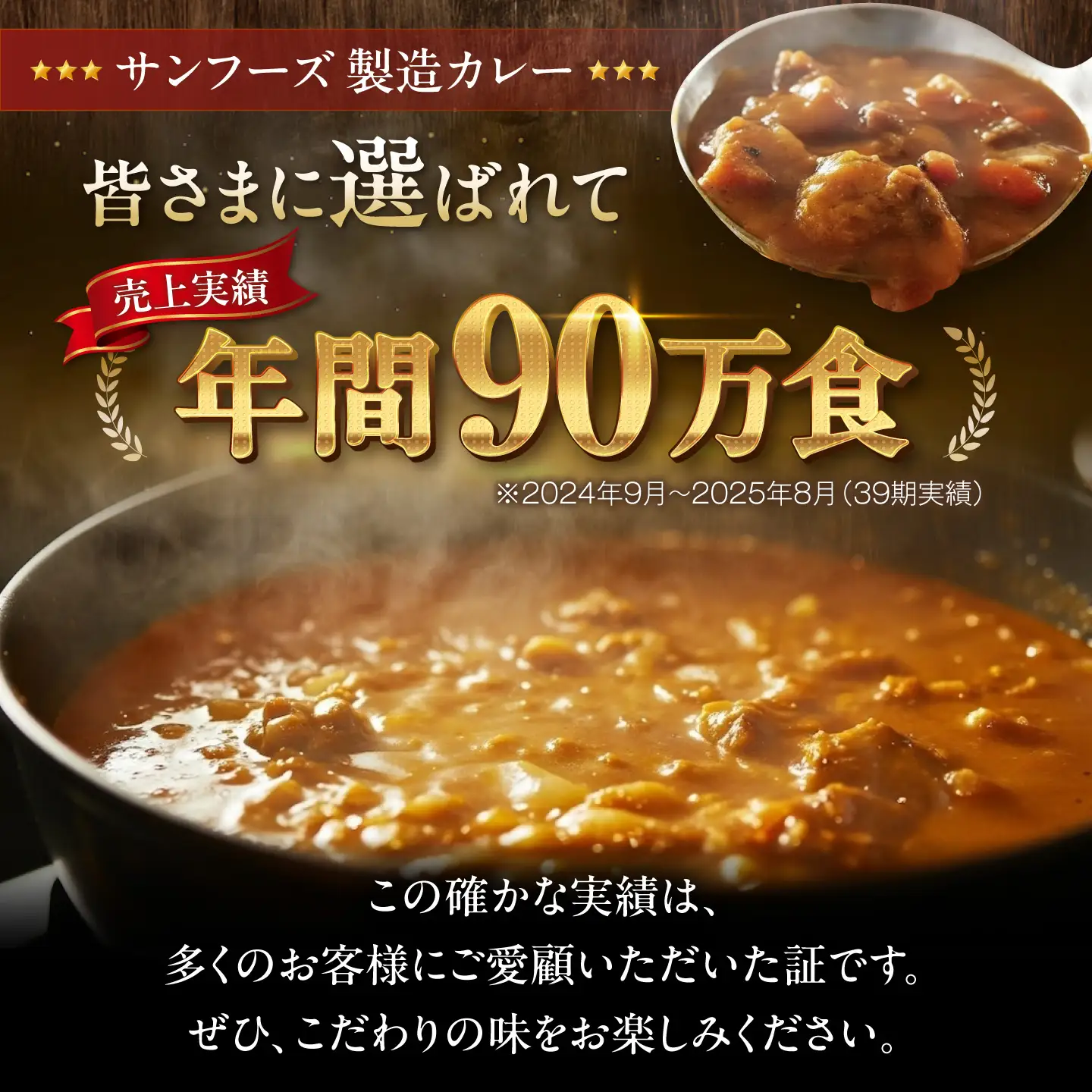 【カレー】チキン カレーセット 10食 [AGDT008] 