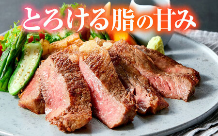 くまもと黒毛和牛 黒樺牛 A4〜A5等級 肉厚サーロインステーキ 約600g 黒毛和牛サーロインステーキ[AYBJ019]