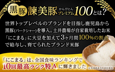【ブランド牛＆ブランド豚の焼肉食べ比べ】諫美牛 上カルビ 300g ＆ 黒豚諫美豚プレミアム100 バラ肉 300g / カルビ 牛肉 食べ比べ A5 焼肉 豚バラ スライス ぶた ばらすらいす 小分け 肉 薄切り / 諫早市 / 株式会社土井農場[AHAD103]