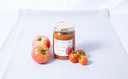 【定期便・全2回】サルサソース 340g 2本セット ×2回｜国産 姫路産 八百ちゃんトマト 着色料・保存料不使用