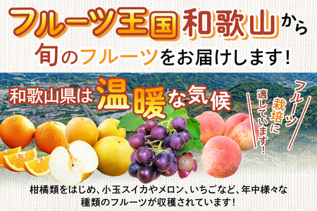 【0047-4】フルーツ王国和歌山のフルーツセット