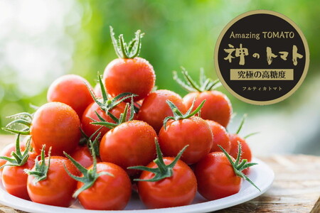 神のトマト 1kg | ミニトマト とまと 野菜 やさい フルティカ 栄養 旨味 富糖度