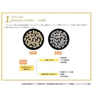 【毎月定期便】サキホコレ2kg(精米)特栽米全12回【配送不可地域：離島・沖縄県】【4072956】