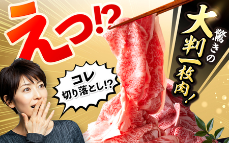 長崎和牛 大判切り落とし 1.25kg 牛肉切り落とし [CFT029]