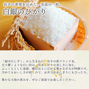 【令和7年産】 白銀のひかり  （岩手141号）  玄米 5kg ／ かきのうえ こめ 米 コメ お米 おこめ げんまい ごはん おにぎり お弁当 仕送り お取り寄せ 産地直送 農家直送 単一原料米 国産 国産米 東北 岩手県産 八幡平市産 おすすめ