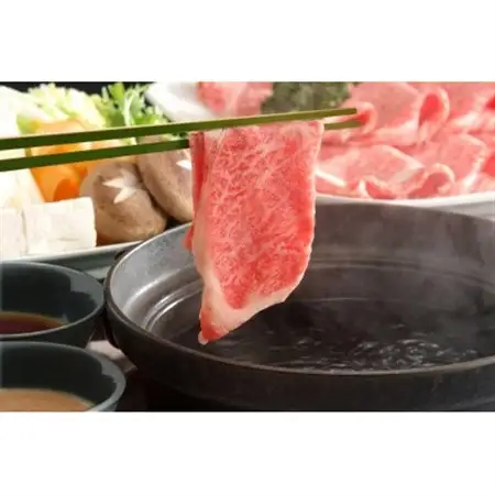 【毎月定期便】厳選部位おおいた豊後牛サーロインしゃぶすき焼き用600g 300g×2(日出町)全3回【配送不可地域：離島】【4074193】