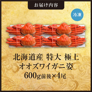 北海道産特大極上オオズワイガニ姿　600g前後×4尾セット | ズワイ蟹