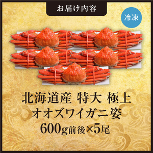 北海道産特大極上オオズワイガニ姿　600g前後×5尾セット | 蟹 ズワイガニ