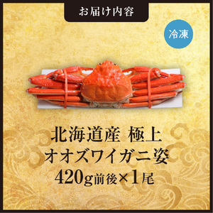北海道産極上オオズワイガニ姿　420g前後×1尾
