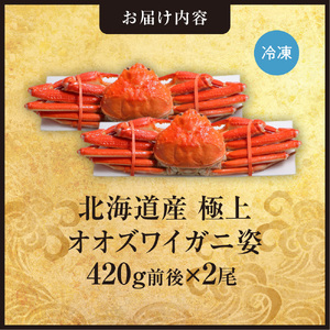 北海道産極上オオズワイガニ姿　420g前後×2尾セット