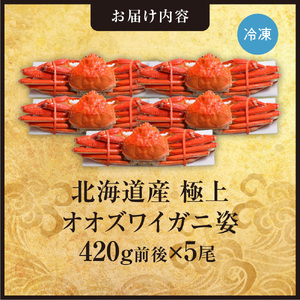 北海道産極上オオズワイガニ姿　420g前後×5尾セット | 蟹 かに