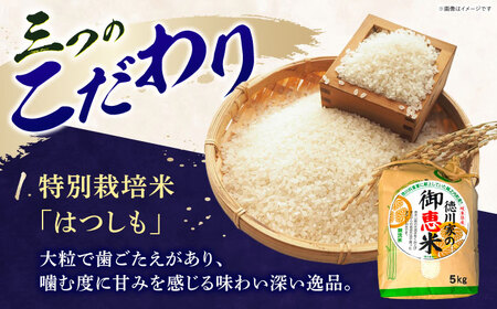 おにぎり たじみのうなぎり 5個入り 多治見市 / 玉野屋 おむすび 冷凍[THN001]