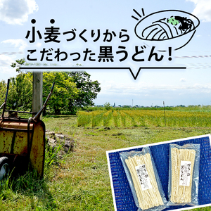 【太麺】黒うどん 250g 3袋 750g 乾麺 無農薬 麦 国産 小麦粉 うどん 麺 僕らの黒うどん 僕らの集会所 埼玉県 羽生市