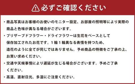 【ホワイトグリーン】 仏花 お供えボトル セット 手提げ袋付 仏壇用 プリザーブドフラワー ボトルフラワー 花 フラワー お供え 仏壇 手入れ不要 日用品 雑貨 九州 熊本県 熊本市