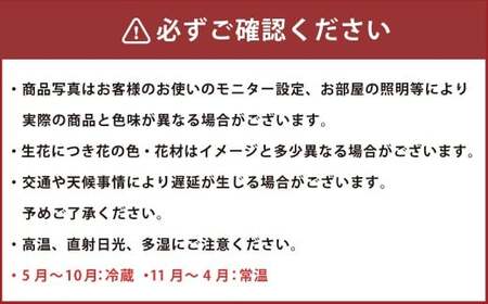 【ホワイトグリーン系】 生花アレンジ Lサイズ 生花 生け花 花 フラワー アレンジ 日用品 雑貨 九州 熊本県 熊本市 常温 冷蔵