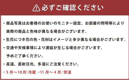【おまかせ】 お供え用 生花 （仏花） アレンジ Lサイズ 生け花 花 フラワー お供え 仏壇 日用品 雑貨 九州 熊本県 熊本市 常温 冷蔵