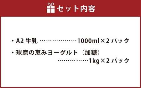 球磨の恵み「A2牛乳」と「球磨の恵みヨーグルト（加糖）｣ セット 生乳 乳製品 カゼイ菌 ぎゅうにゅう ミルク 