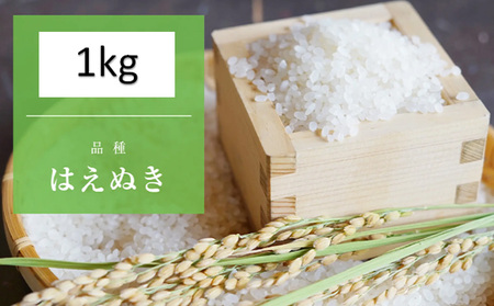 【令和8年産】 天日干しの手間をかけた (はえぬき) 丹野さん家のコメ 精米 1kg FY25-333