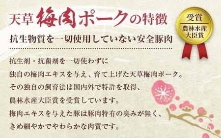 【豚半頭分！】完全無薬！梅肉エキス肥育 熊本県産 天草梅肉ポーク 食べ尽くしセット 半頭 約30kg以上 肉 お肉 豚肉 ポーク 詰め合わせ セット 冷凍 熊本県 上天草市