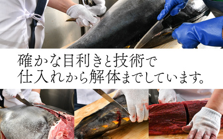【冷蔵・指定日着可】生本マグロ中トロ 約250g 2～3人前 [A-066005] / 国産 まぐろ 鮪 さく 柵どり 冷蔵 真空パック ヘルシー 2人前 3人前 新鮮 刺身 丼
