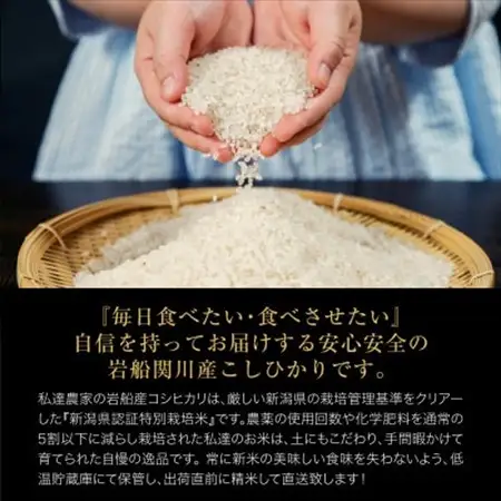 【毎月定期便】関川村産こしひかり5kg ふっくら美味しさ 岩船米 [横山農産]全6回【4073325】