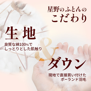 羽毛布団 ポーランドダックダウン85％ セミダブル 布団