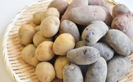 【先行予約：2026年6月頃より順次発送】和らぎ農法 春じゃが便 2.5kg （栽培期間中、農薬・化学肥料・動物性堆肥不使用）/ じゃがいも 食べ比べ 詰め合わせ セット 新鮮 野菜 / 滋賀県 栗東市 / ワダケン リアルソイルハウス[BIBM016]