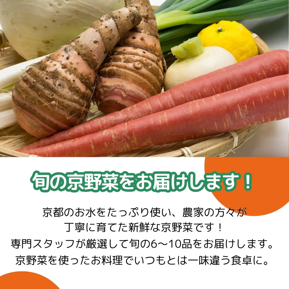 【エーコープ京都中央】おまかせ京野菜セット｜野菜 新鮮 人気 スタッフ厳選 詰め合わせ