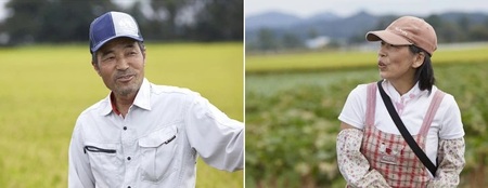 令和8年産　岩手県矢巾町　ひとめぼれ精米10kg/岩手県 矢巾町産 ひとめぼれ 贈り物 新米 厳選米 ブランド米 定期便 美味しいお米 産地直送 予約 人気 お取り寄せ 高評価 ふるさと 田舎 安心 安全 高品質 10kg