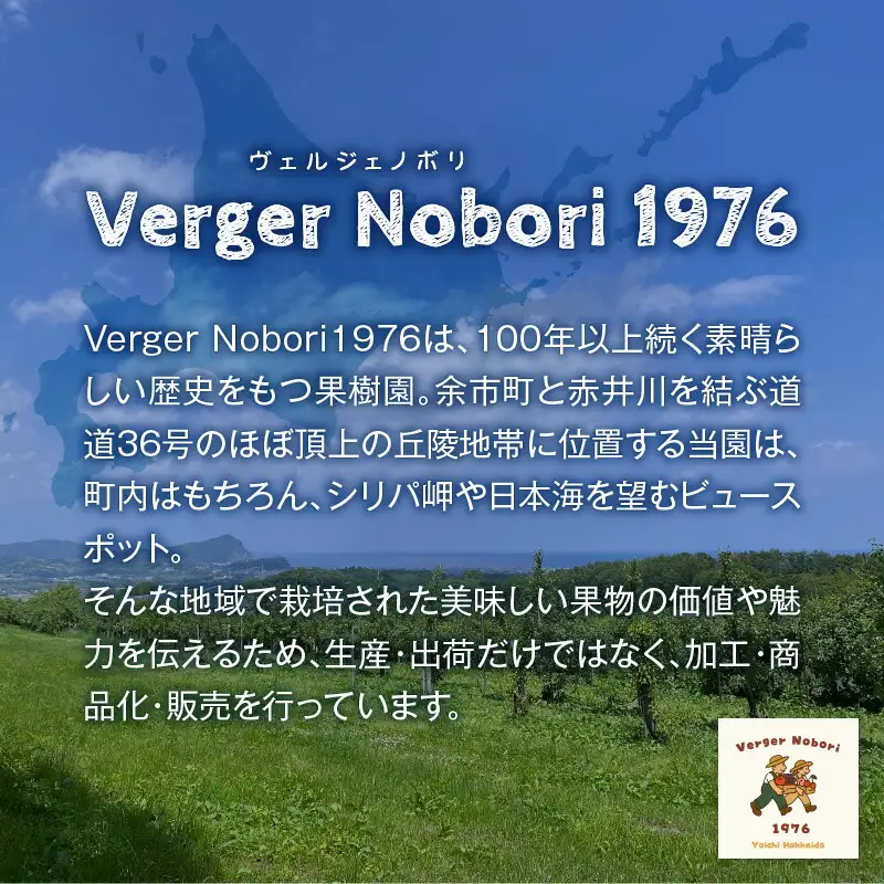 余市町 ナイアガラワイン 2本セット 2023 各750ml×2本 Verger Nobori 1976 辛口白 ＆ 微発泡 ナイアガラ ワイン 白ワイン 余市町登町 マスカットの香り 北海道 送料無料_Y103-0032