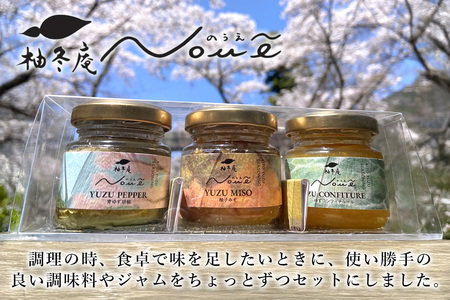 NOUE 3個セット 各40g(青ゆず胡椒・ゆずコンフィチュール・柚子みそ)【徳島県 那賀町 木頭ゆず 柚子 ユズ 木頭柚子 果物 国産 100％ 調味料 柚子胡椒 ゆず胡椒 ゆずみそ 柚子味噌 ジャム ゆずジャム 瓶詰め 果汁 ギフト プレゼント お取り寄せ 柚冬庵】YA-80