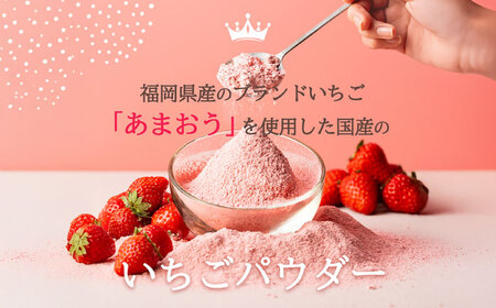 福岡県産あまおうパウダー 100ｇ いちご 粉末 製菓 糸島市 / 株式会社フルコンス[ALO002]